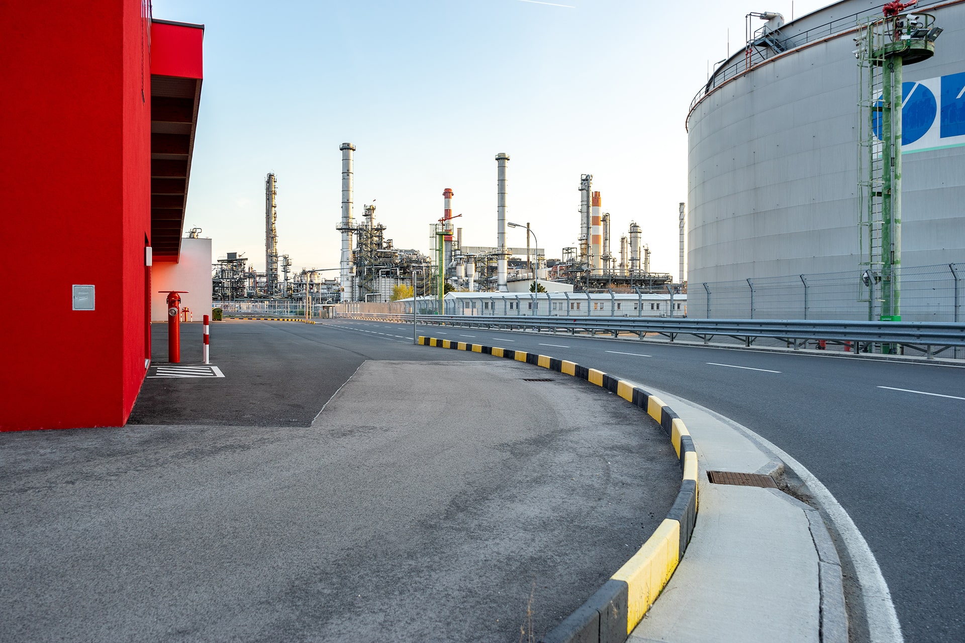 The Largest Plant 1 The Largest Plant